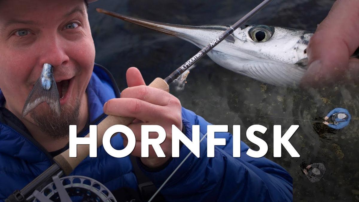 Hornfisk sæson
