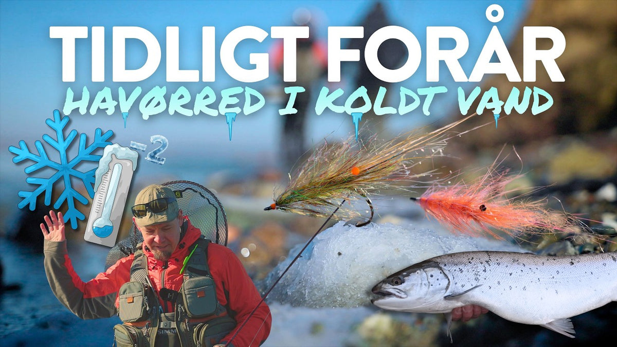 Fiskeguides: Havørred på kysten – taktik i det kolde forår