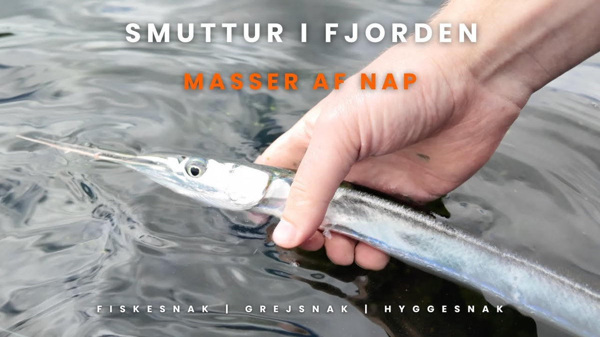 Torsdagsturen: Smuttur i Mariager Fjord med grejskifte