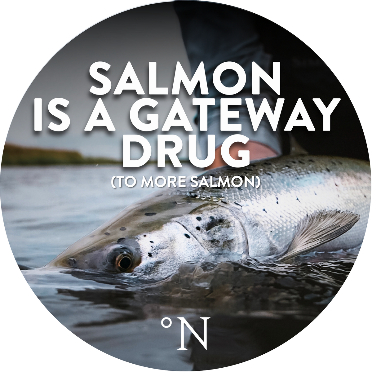 Salmon is a gateway drug - Sticker