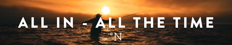 Du tilføjede <b><u>All in - All the time - Sticker</u></b> til kurven.