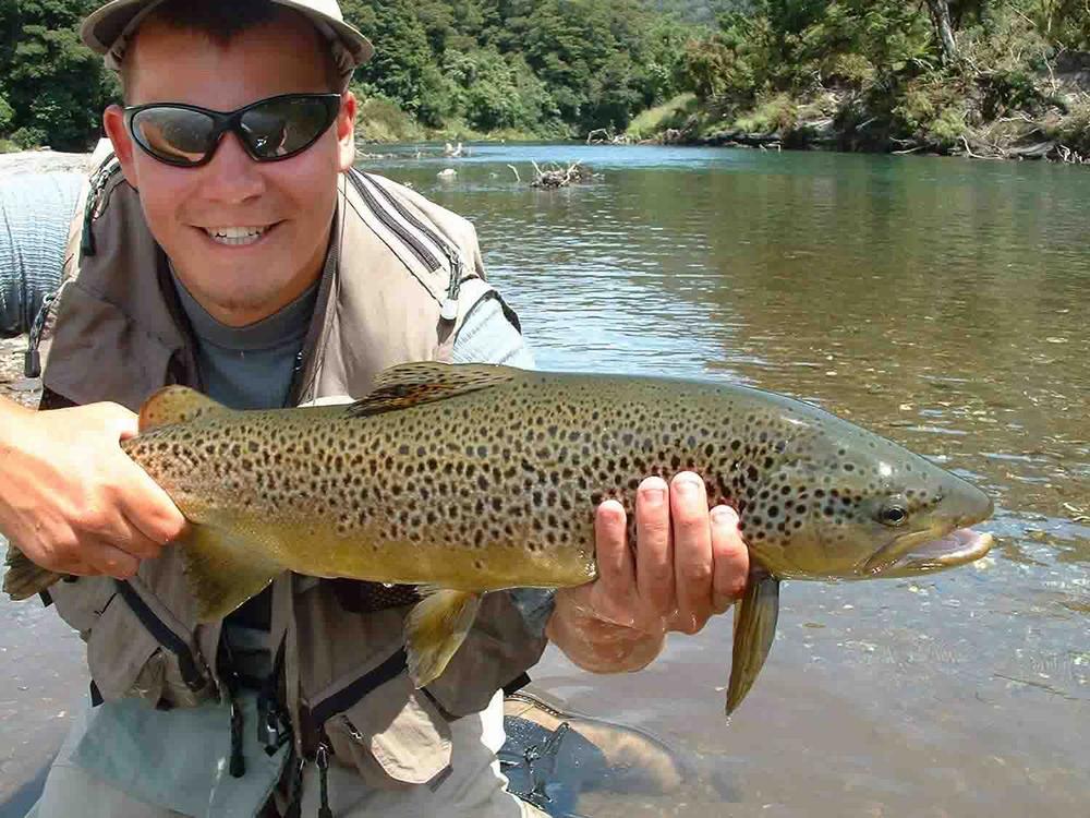  (Bronze Grade) Whiting Hebert Miner Dryfly - Dark Grey Dun