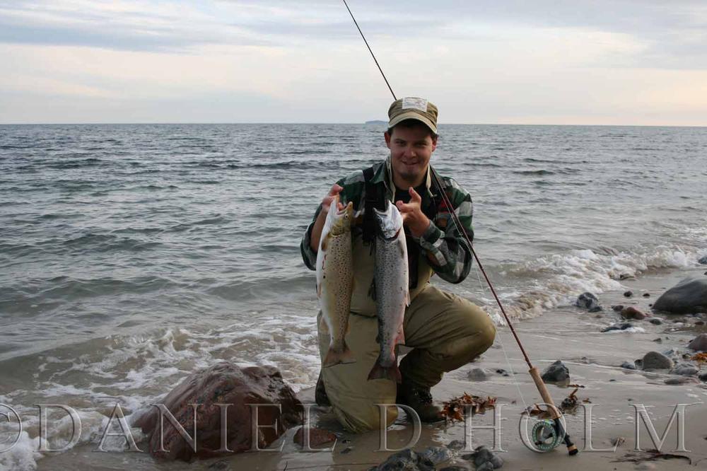 Whiting Coq de leon Cape - Badger Fl. Green Chartreuse