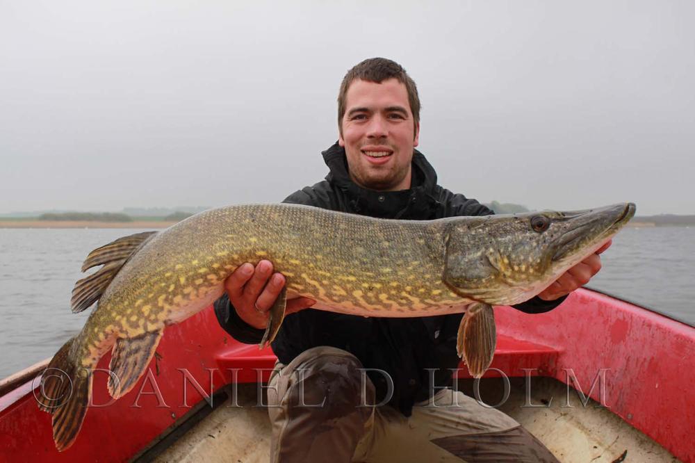 Flashabou lateral scale - Pearl Yellow
