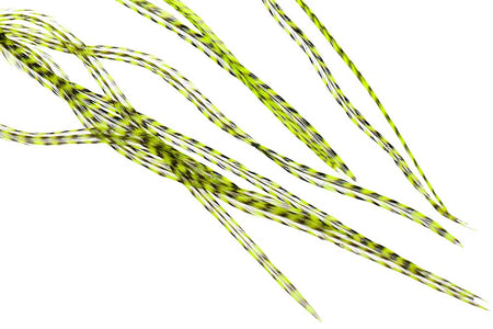 Du tilføjede <b><u>Selected Flatwing/dryfly Feather - Grizzly Flou Chartreuse</u></b> til kurven.