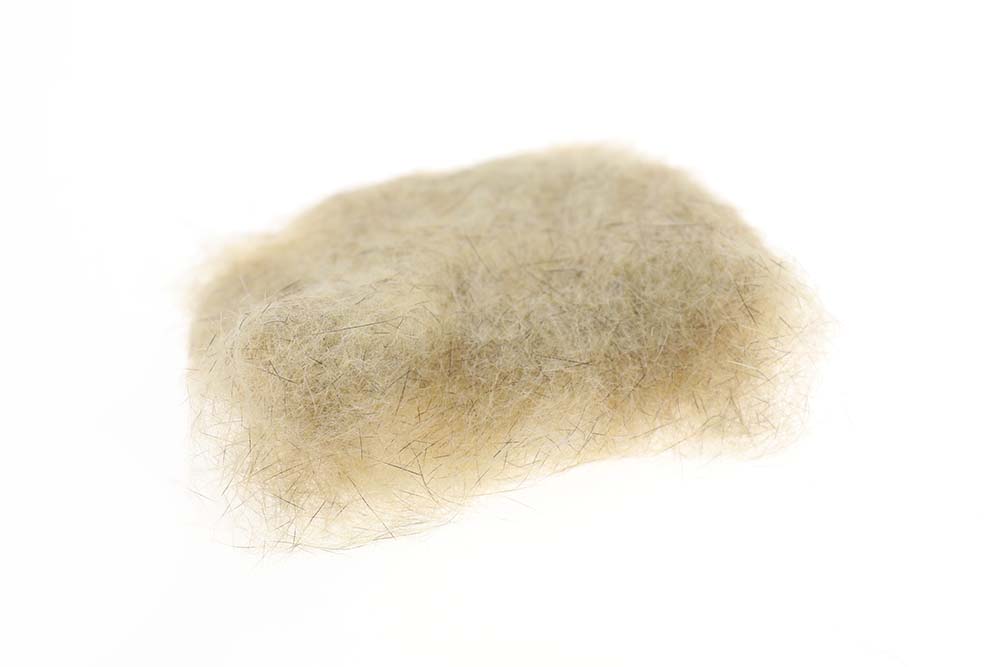 SLF Squirrel - Bleached Ginger