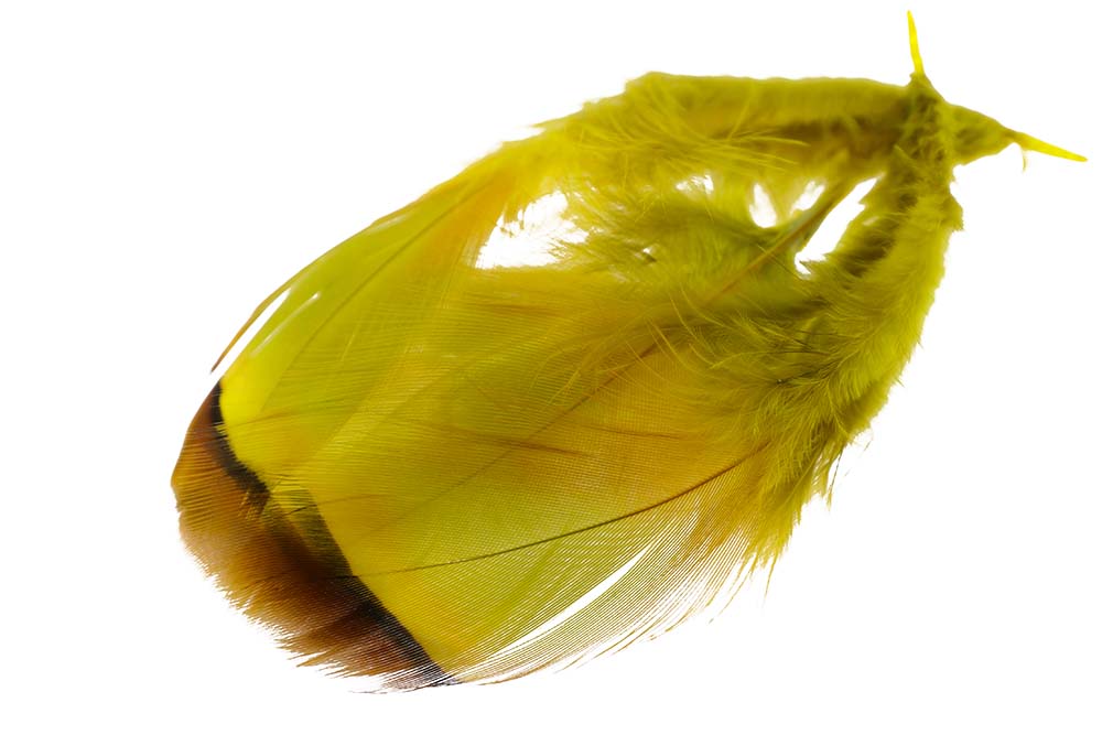 French Partridge - Golden Olive