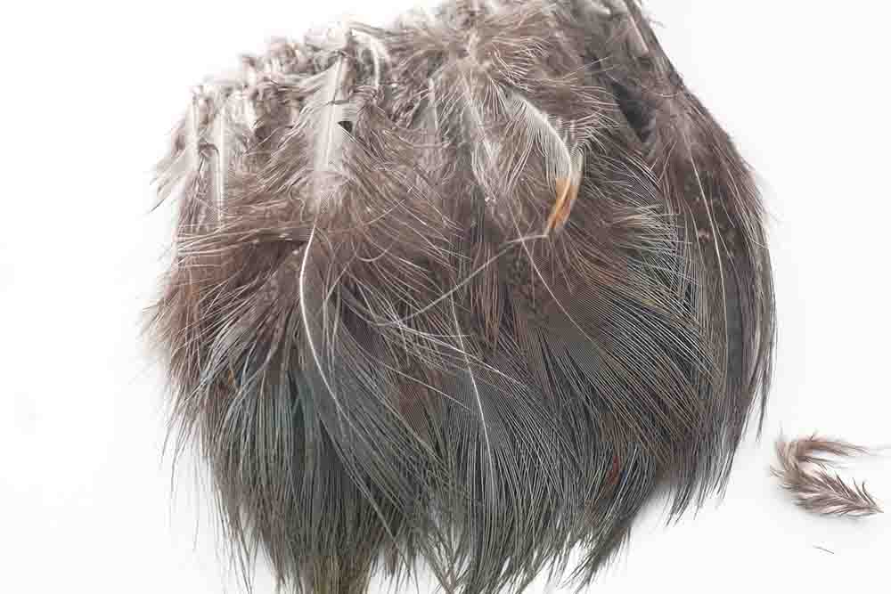 Ringneck Rump Hackle - Natural