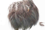 Ringneck Rump Hackle - Natural