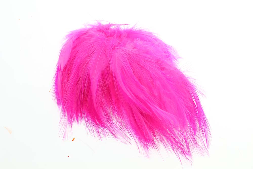 Hane Hackler - Fl.Pink