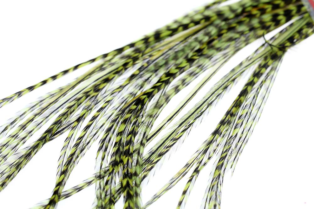Selected Flatwing/dryfly Feather - Grizzly Olive
