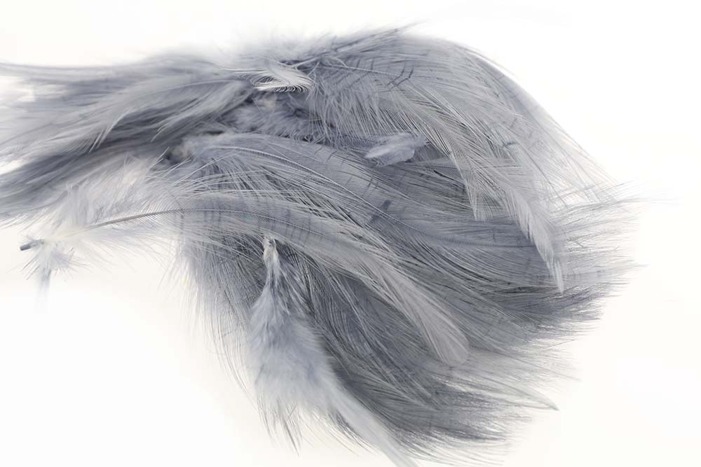 Hane Hackler - Grey