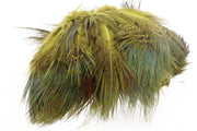 Ringneck Rump Hackle - Golden Yellow