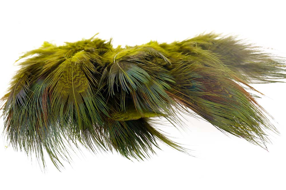 Ringneck Rump Hackle - Olive