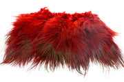 Ringneck Rump Hackle - Red
