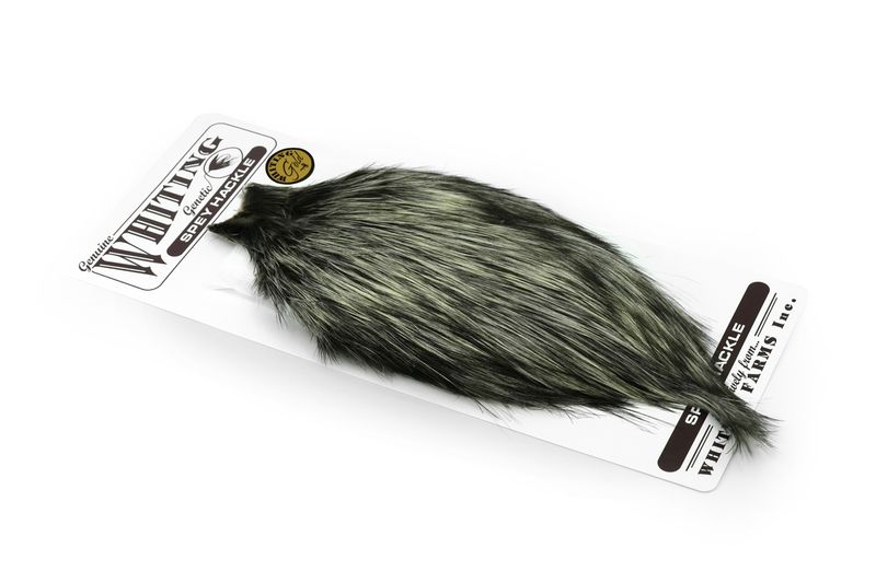Whiting Spey Hackle Rooster Cape – Gold â€“ dealerweb-cms-32b186d8-9bfc-4f54-95bc-edb79b45212f.jpg