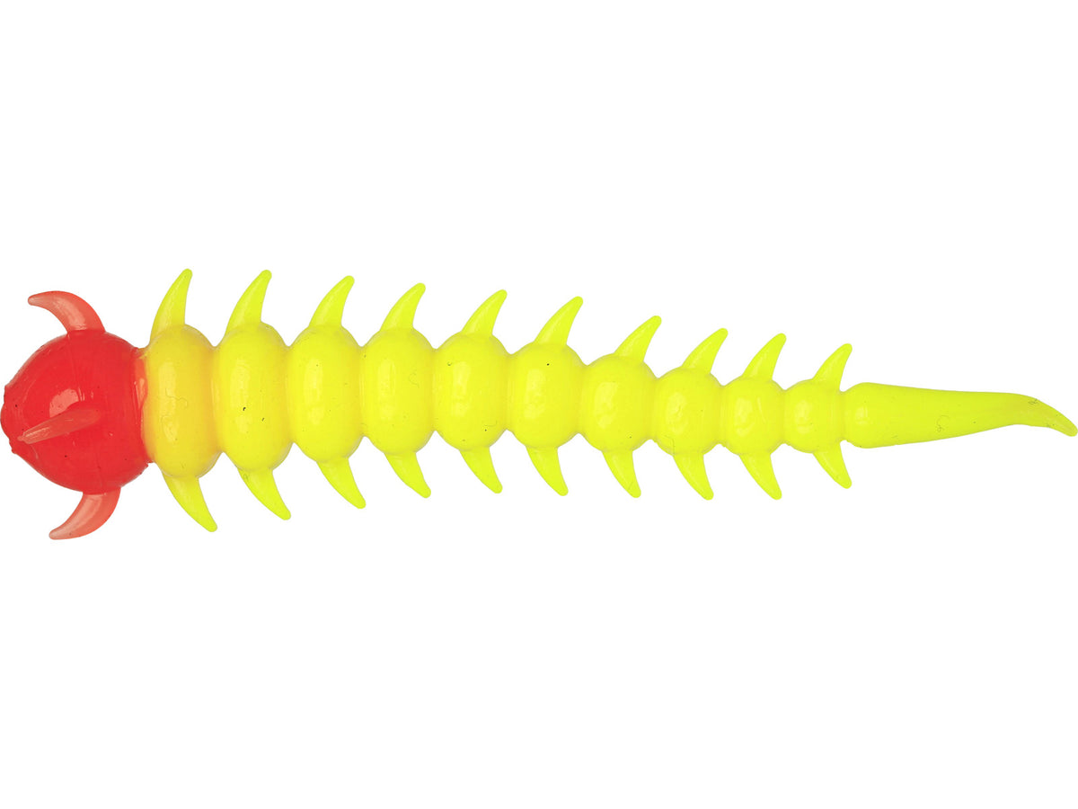 Westin Greedy Worm