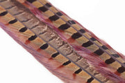 Ringneck Pheasant tail 1 Pair - Rusty Brown