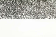 Thin Skin Fly Specks - Clear/ Black