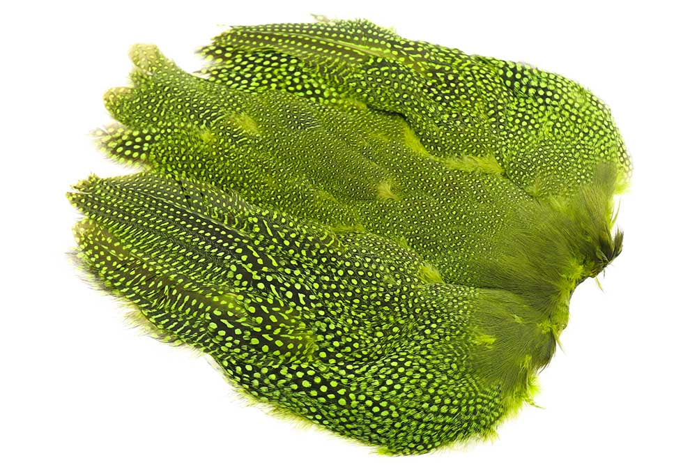 Perlehøne Hel fugl - Chartreuse