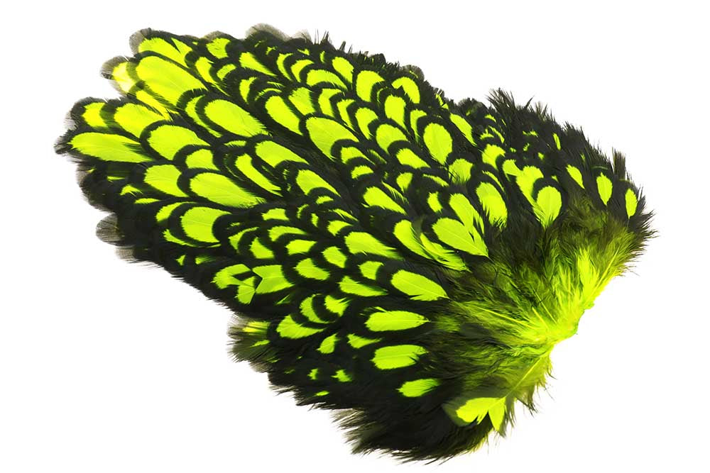 Whiting American Hen Saddle Black Laced - Fl. Yellow Chartreuse