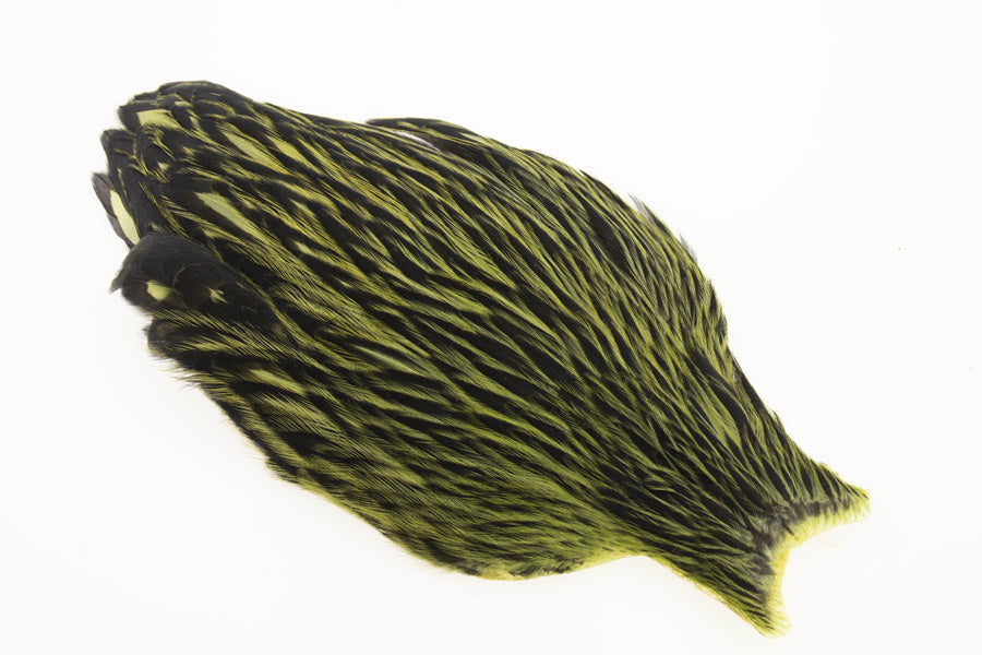 Whiting American Hen Cape Black Laced -  Olive