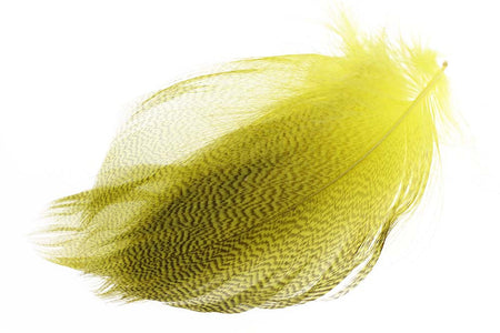 Du tilføjede <b><u>Mallard Duck Flank Large Selected - Mayfly Yellow</u></b> til kurven.