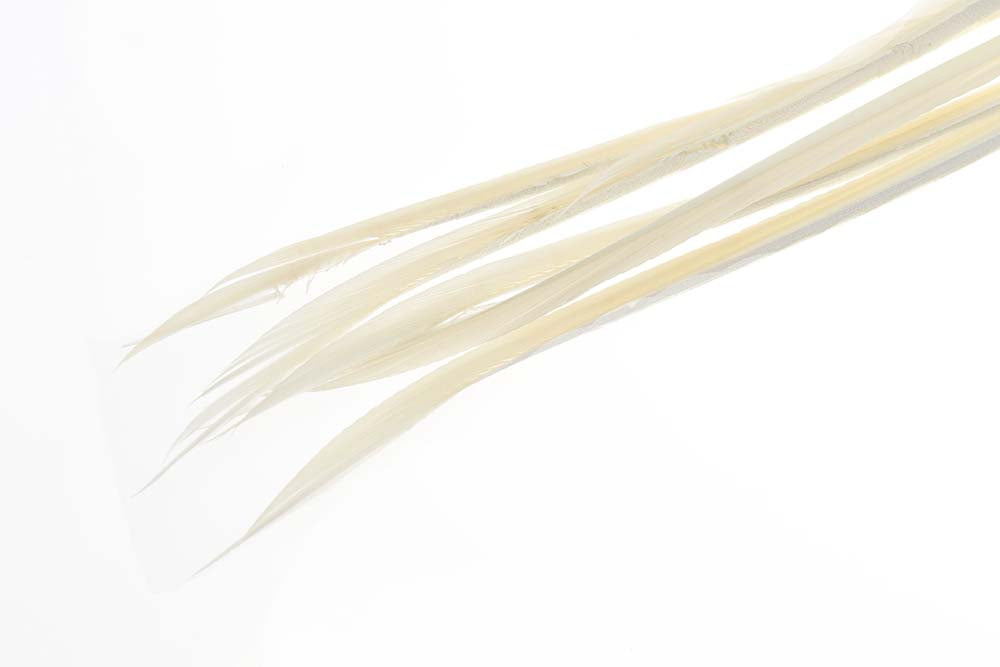 Turkey biots - Light Cahill