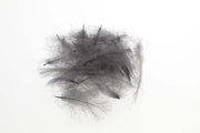 Flyco Cul De Canard - Blue Dun