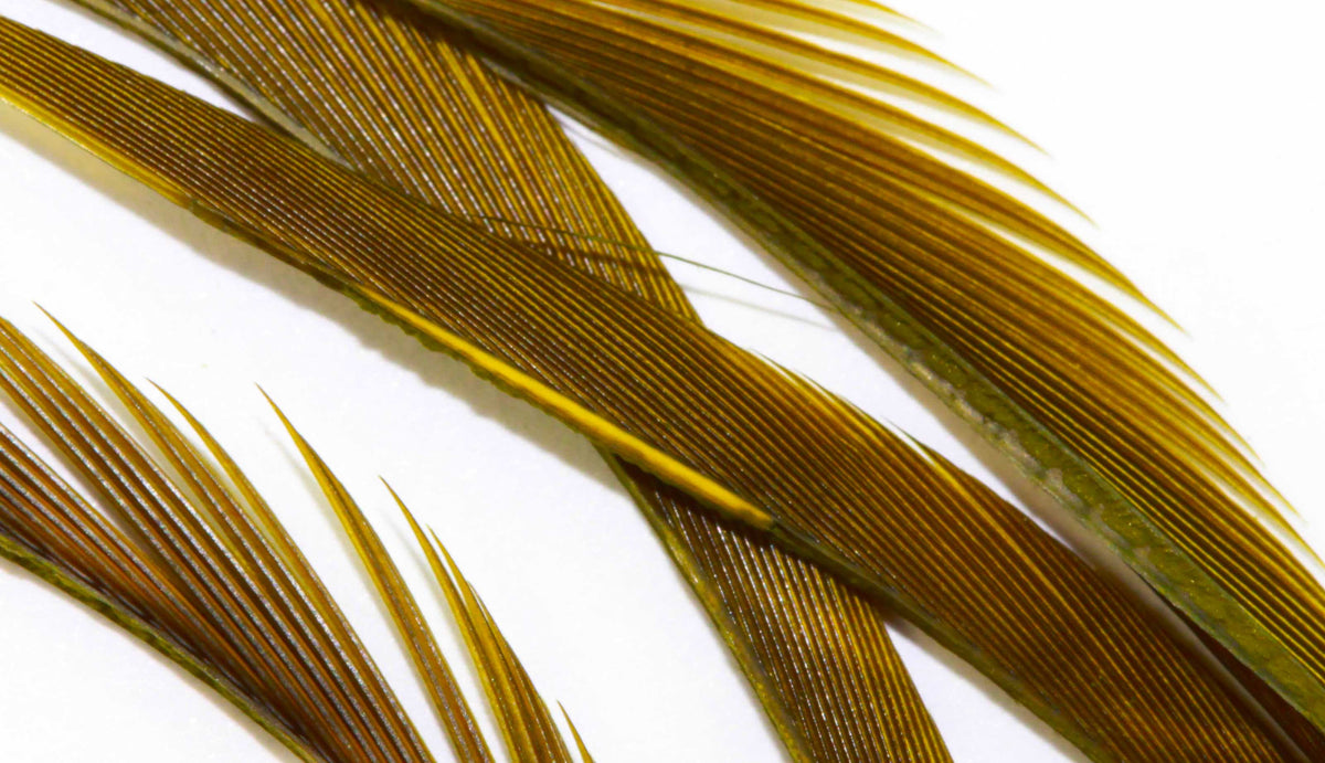 Goose Biots - Blue Wing Olive
