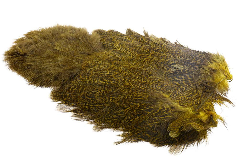 Whiting Coq de Leon Hen Soft hackle with Chicabou - Speckled Copper Olive