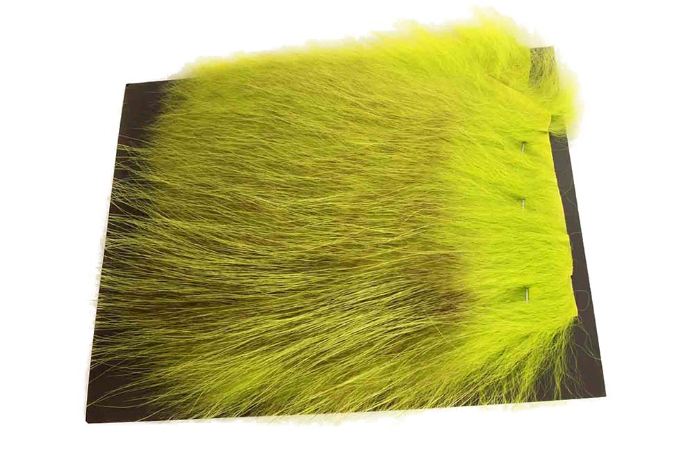 Futurefly American Opossum - Chartreuse