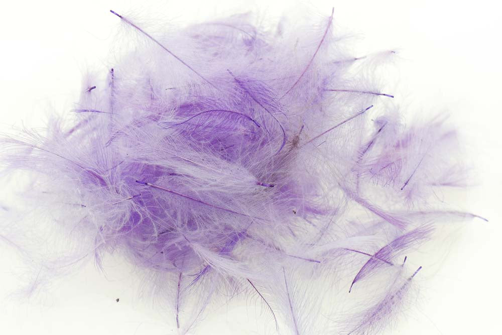 Swiss CDC Standard - Violet 32