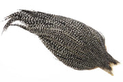 (Bronze Grade) Whiting Red Label Dryfly - Grizzly Variant