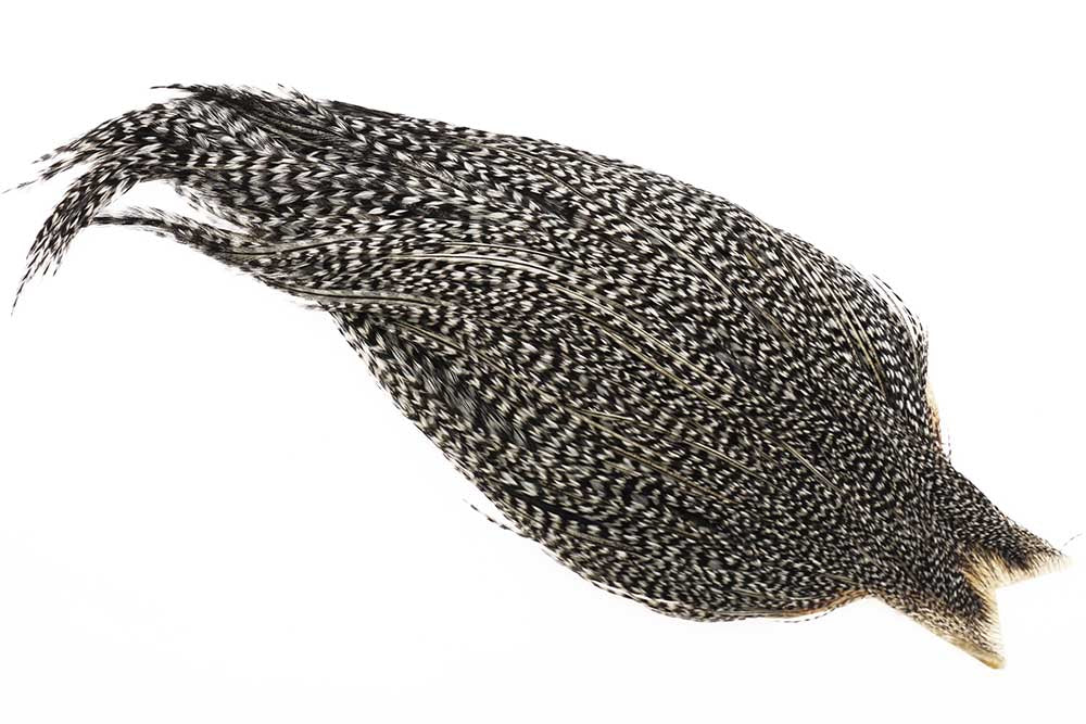 (Bronze Grade) Whiting Red Label Dryfly - Grizzly Variant